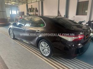 Xe Toyota Camry 2.5Q 2019
