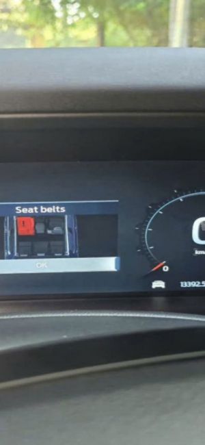 Xe Ford Ranger Raptor 2.0L 4x4 AT 2024