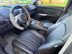 Xe VinFast Limo Green AT 2026